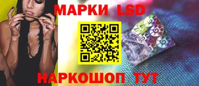 мдпв Камышлов