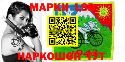 мдпв Камышлов