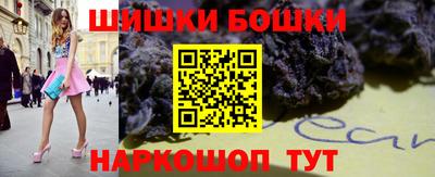 мдпв Камышлов