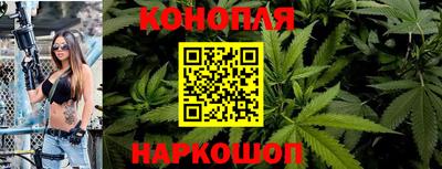мдпв Камышлов