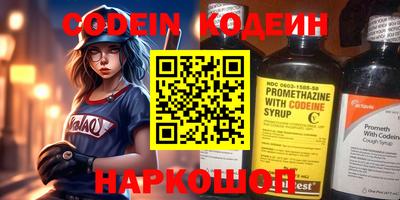 мдпв Камышлов