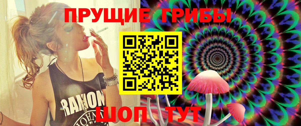 Энгельс  Галлюциногенные грибы MAGIC MUSHROOMS  Галлюциногенные грибы MAGIC MUSHROOMS  Вход с VPN 
